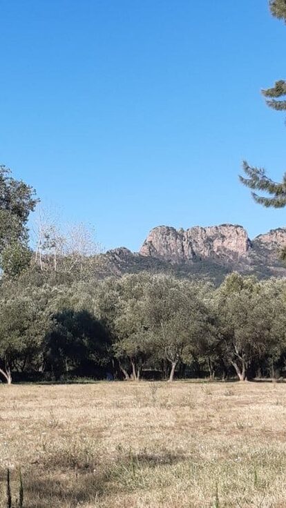 Halte Camping-Car du Lac – Roquebrune-sur-Argens